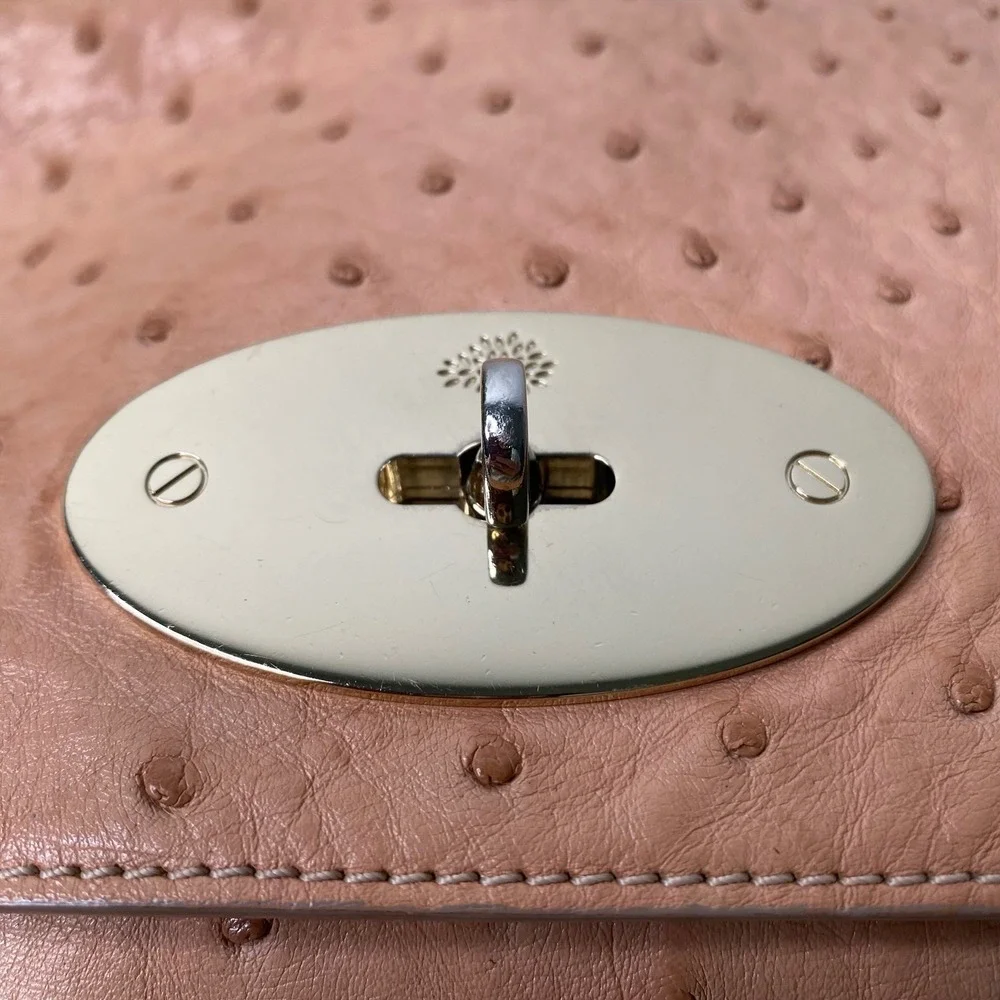 Mulberry Lily Medium Exotic Ostrich Leather Chain Crossbody‎ Shoulder Bag Rare!